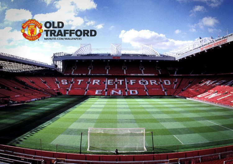 更展现出荷 更展现出荷